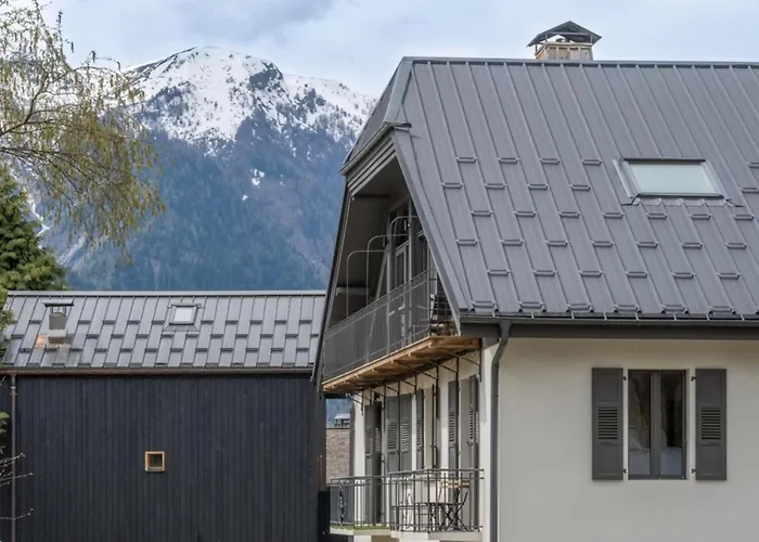 Newly Renovated Apartment With Mont Blanc View